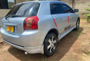 Toyota Corolla RunX 2006 Silver