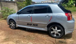 Toyota Corolla RunX 2006 Silver