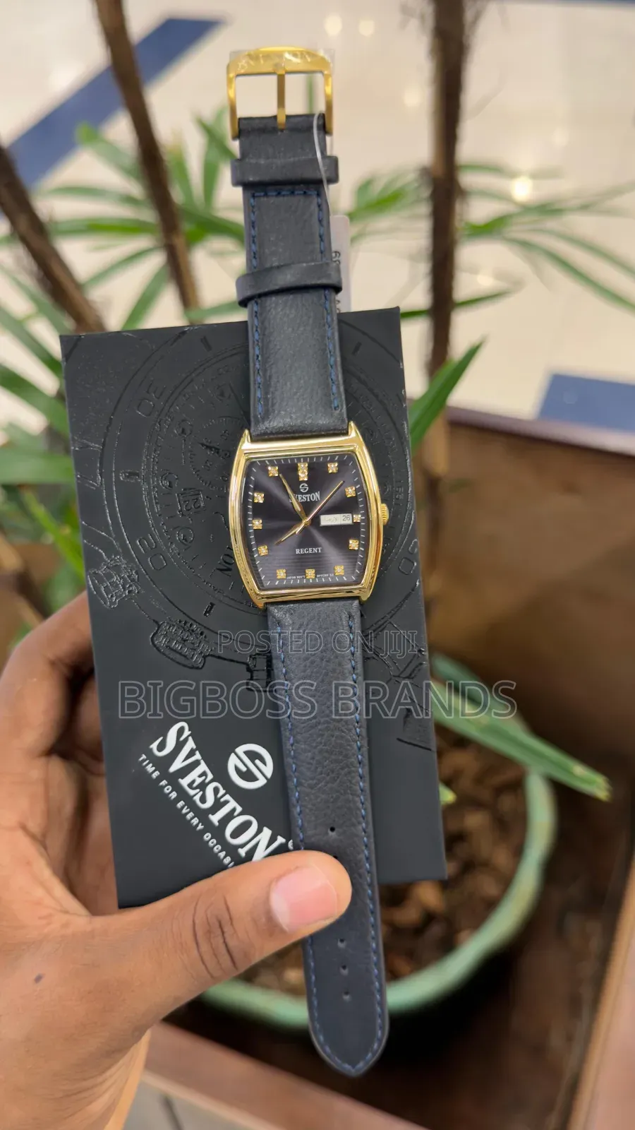 Sveston Watch