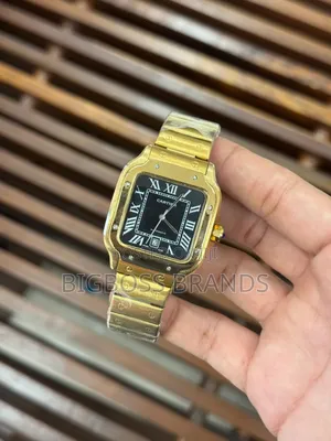 New Cartier Santos