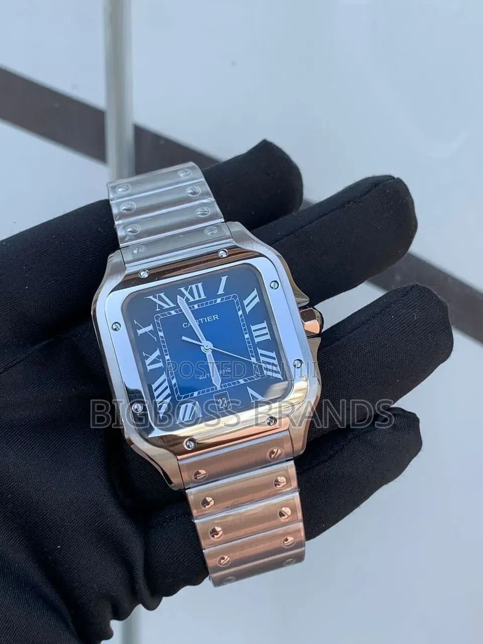 New Cartier Santos