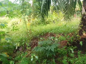 Plot for Sale 2022 SQM