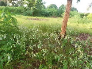 Plot for Sale 2022 SQM