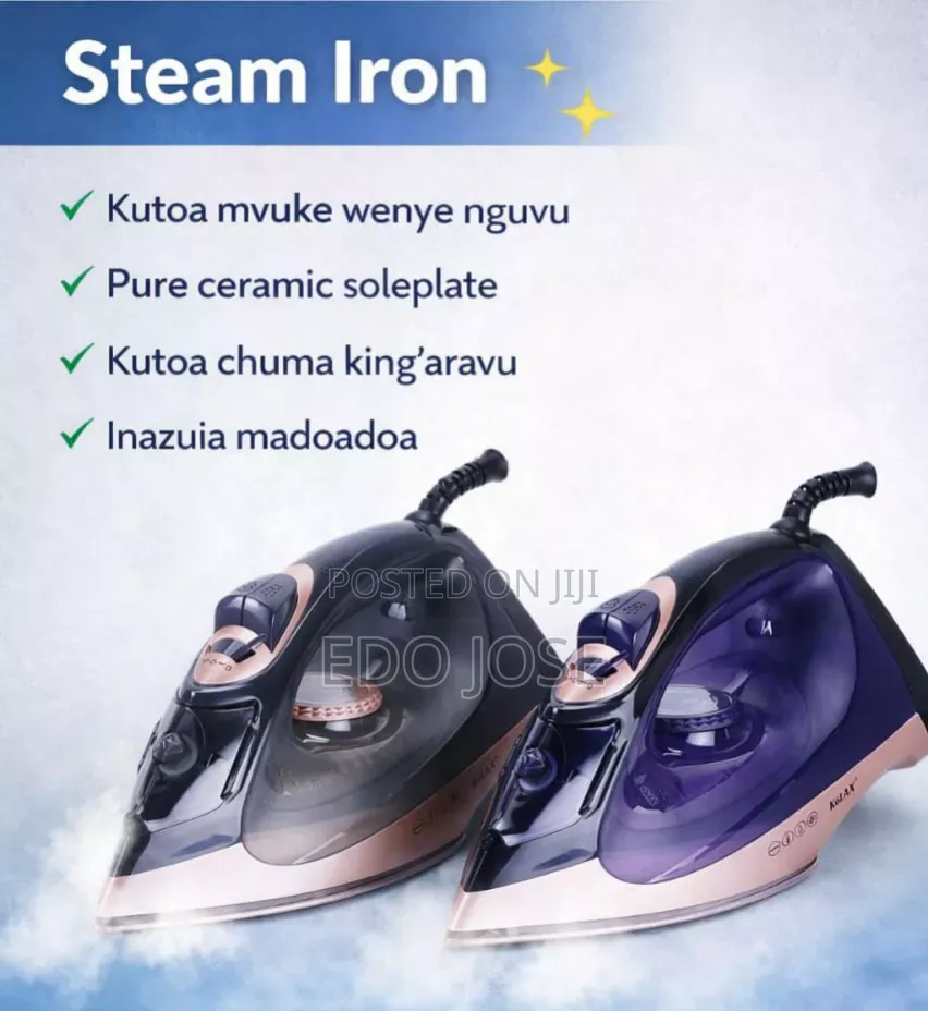 Steam Iron