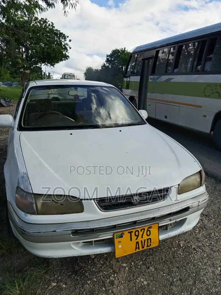 Toyota Corolla 2000 White