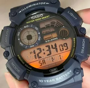 Casio Ws-1500h-2avdf
