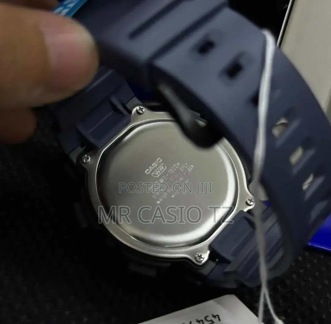 Casio Ws-1500h-2avdf