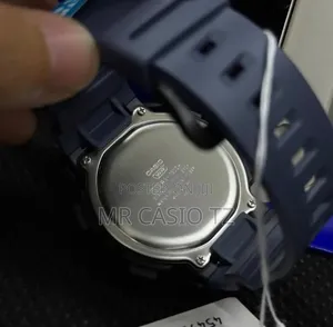 Casio Ws-1500h-2avdf