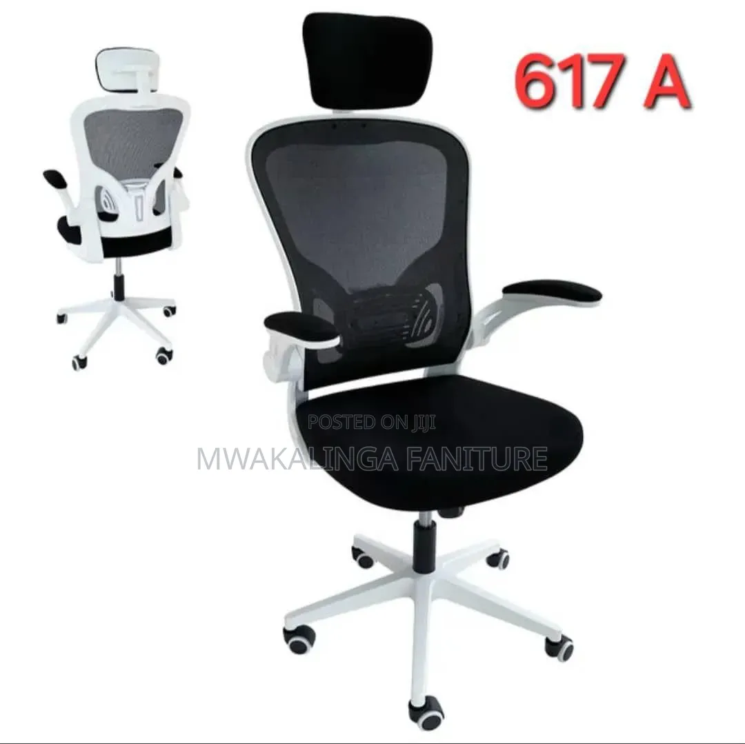 Egnomic Chair