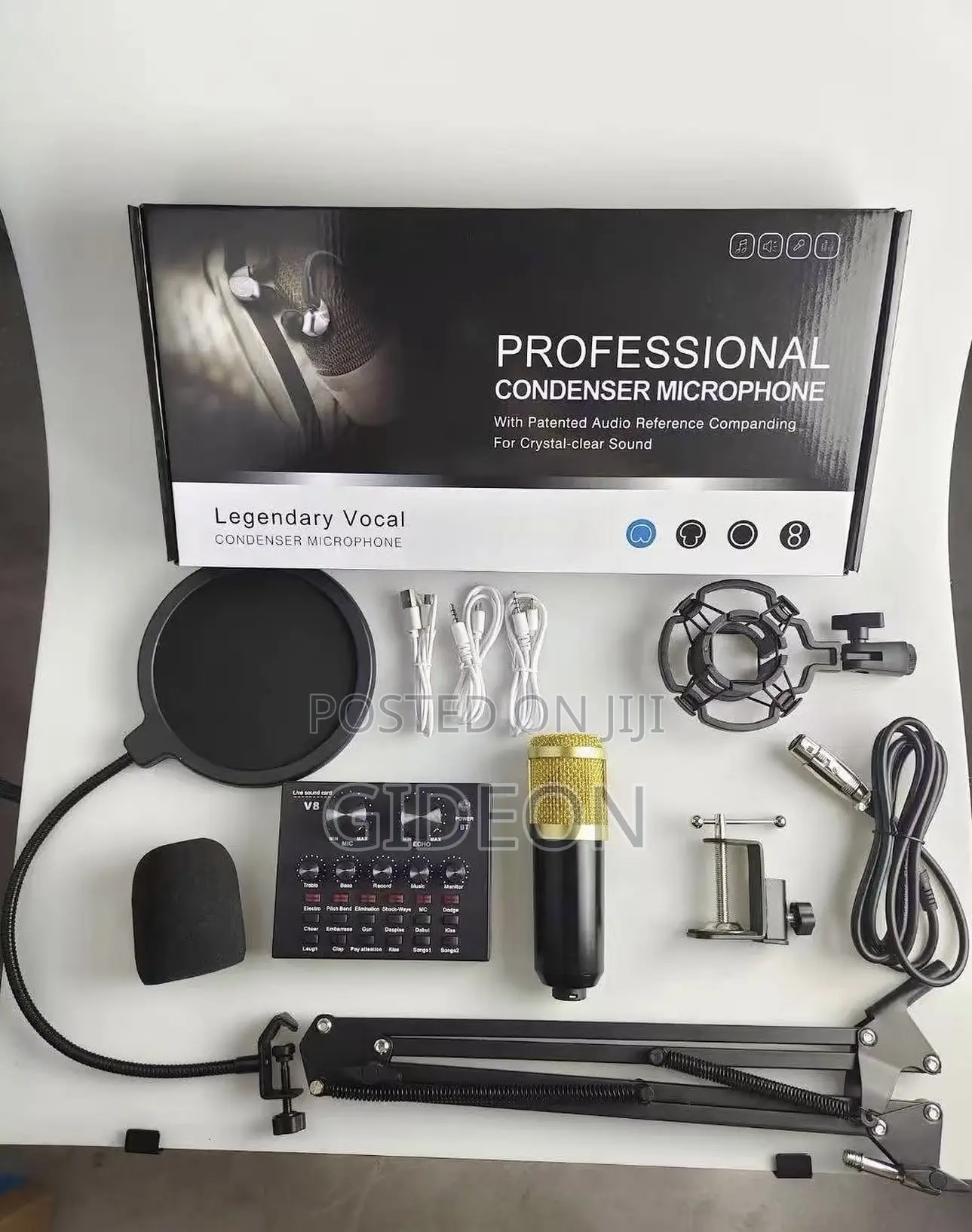 Professional Condenser Microphone ( Podcast Mic)
