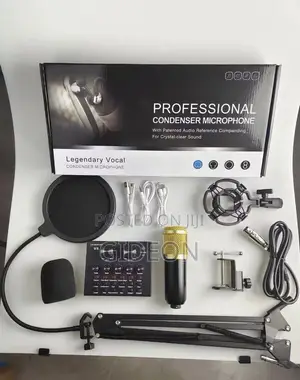 Professional Condenser Microphone ( Podcast Mic)