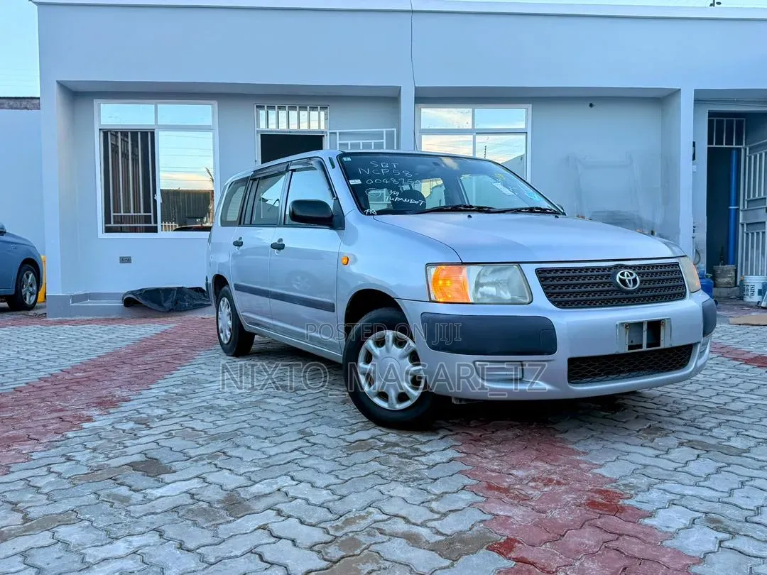 Toyota Probox 2006 Silver