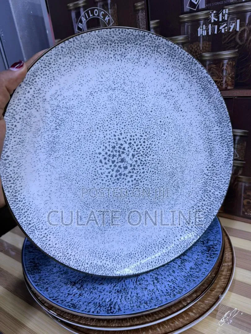 6pcs Dinner Plates Set