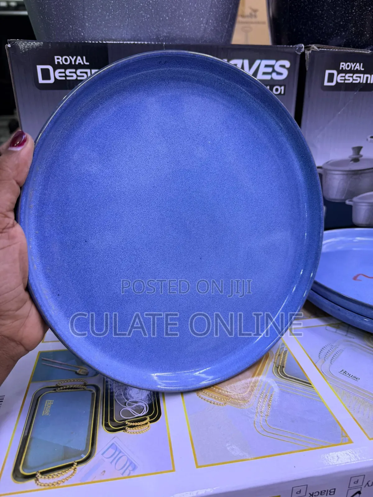 6pcs Dinner Plates Set