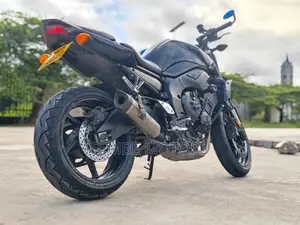 Yamaha FZ 2009 Black