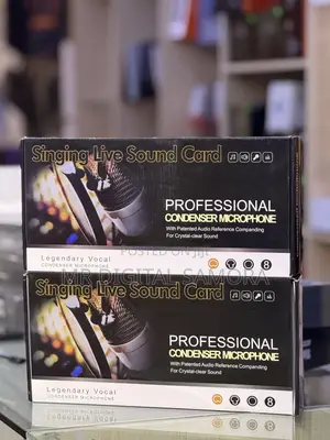 Professional Condenser Microphone, Singing Live Sound Card