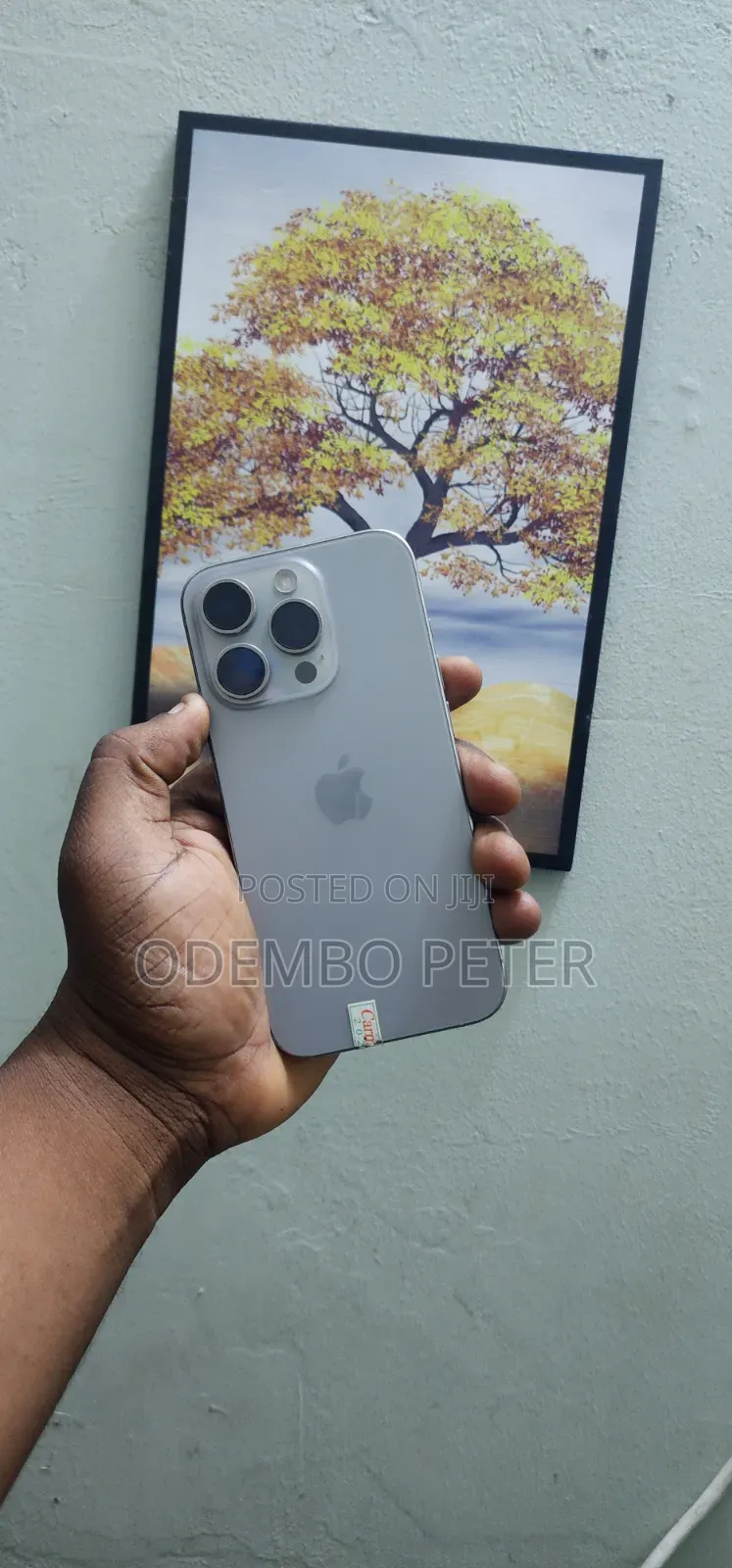 Apple iPhone 15 Pro 256 GB Silver