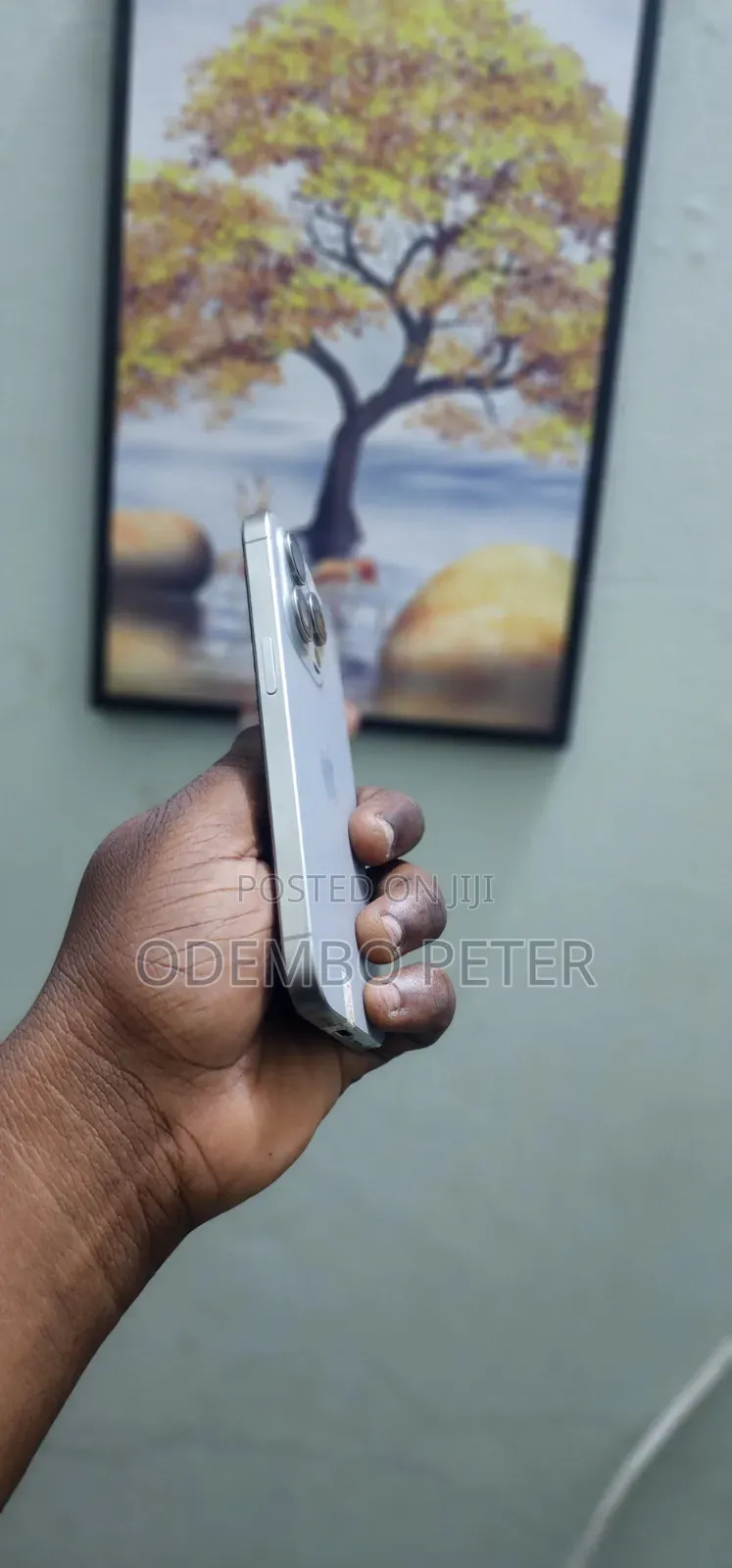 Apple iPhone 15 Pro 256 GB Silver