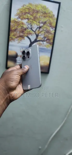 Apple iPhone 15 Pro 256 GB Silver