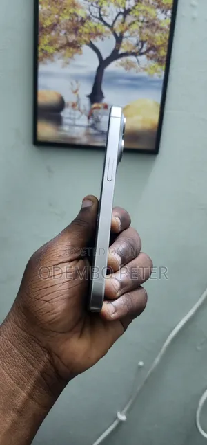 Apple iPhone 15 Pro 256 GB Silver
