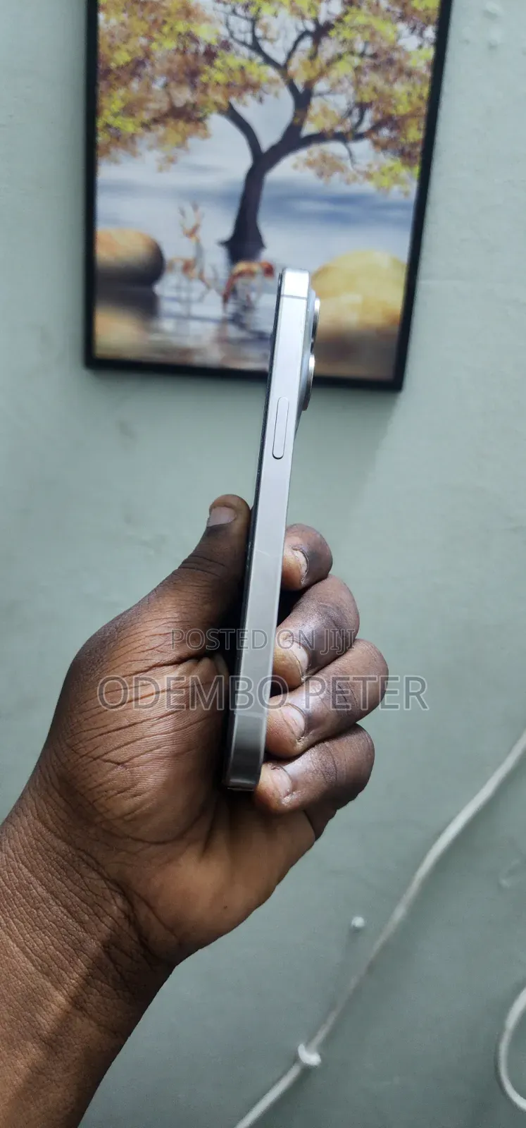 Apple iPhone 15 Pro 256 GB Silver