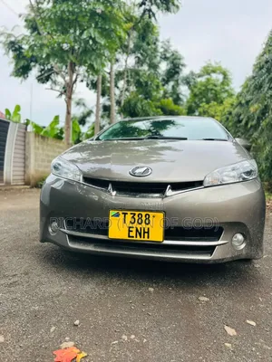 Toyota Wish 2011 Gray