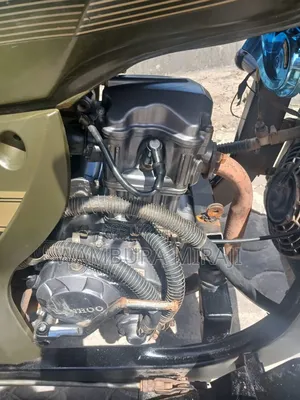 Bajaj Avenger 200 2025 Green