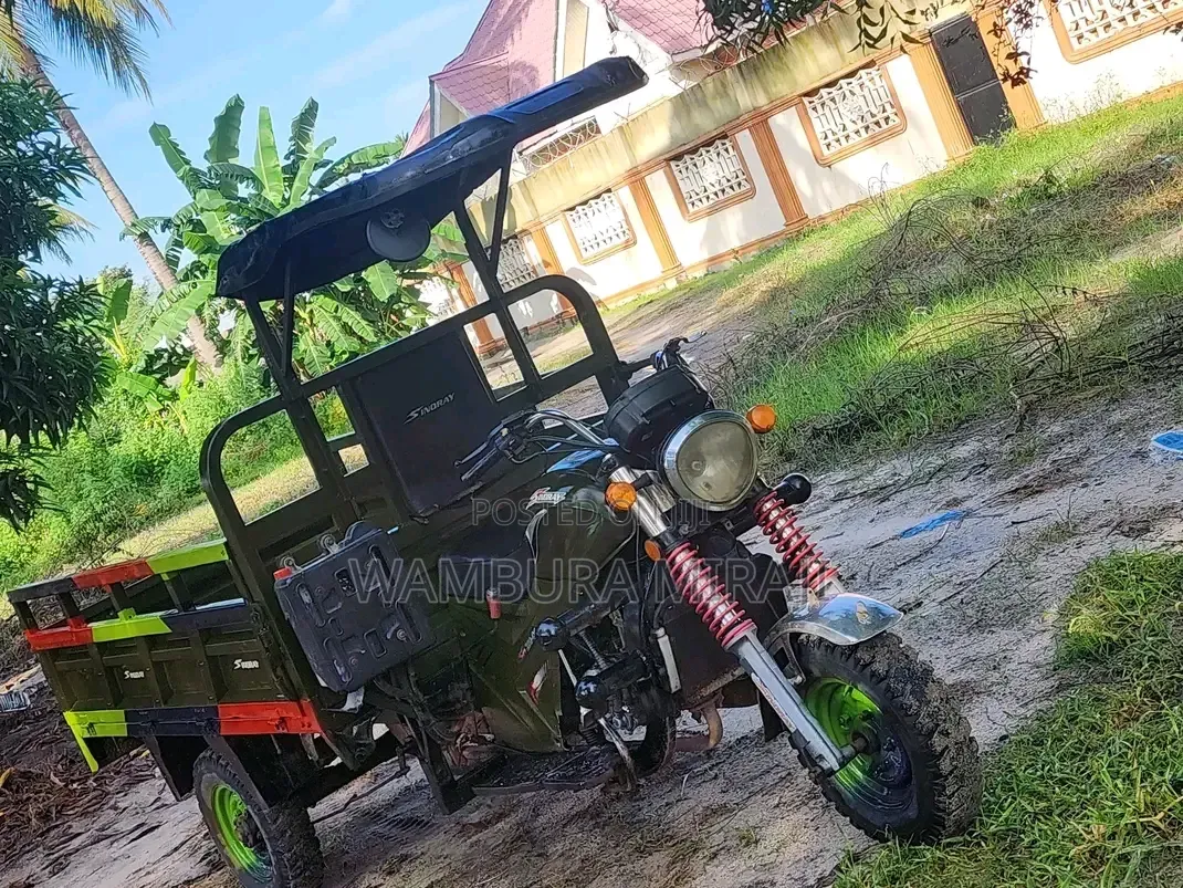 Bajaj Avenger 200 2024 Green