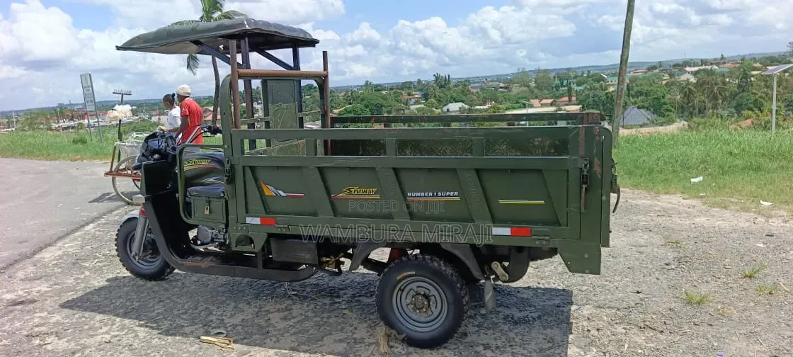 New Bajaj CT 100X 2025 Green