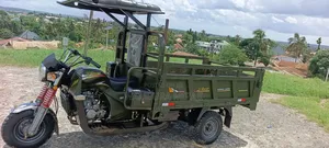 New Bajaj CT 100X 2025 Green