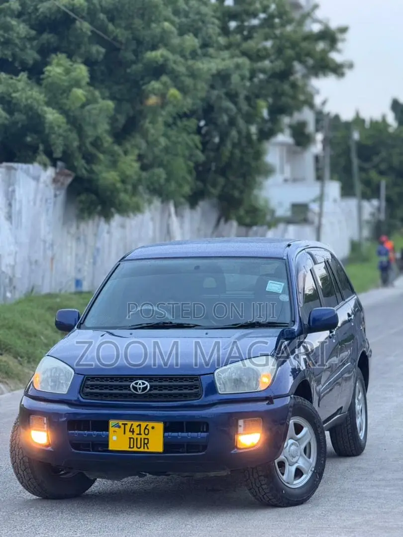 Toyota RAV4 2005 Blue