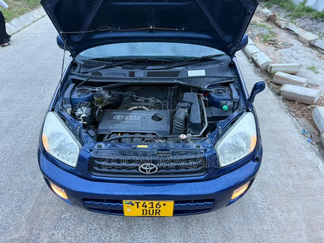 Toyota RAV4 2005 Blue