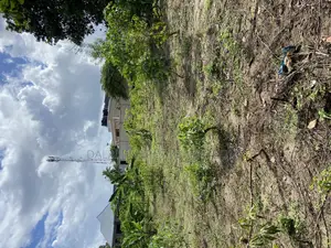 Plot for Sale Malela Mikwambe Kigamboni