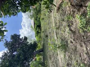 Plot for Sale Malela Mikwambe Kigamboni