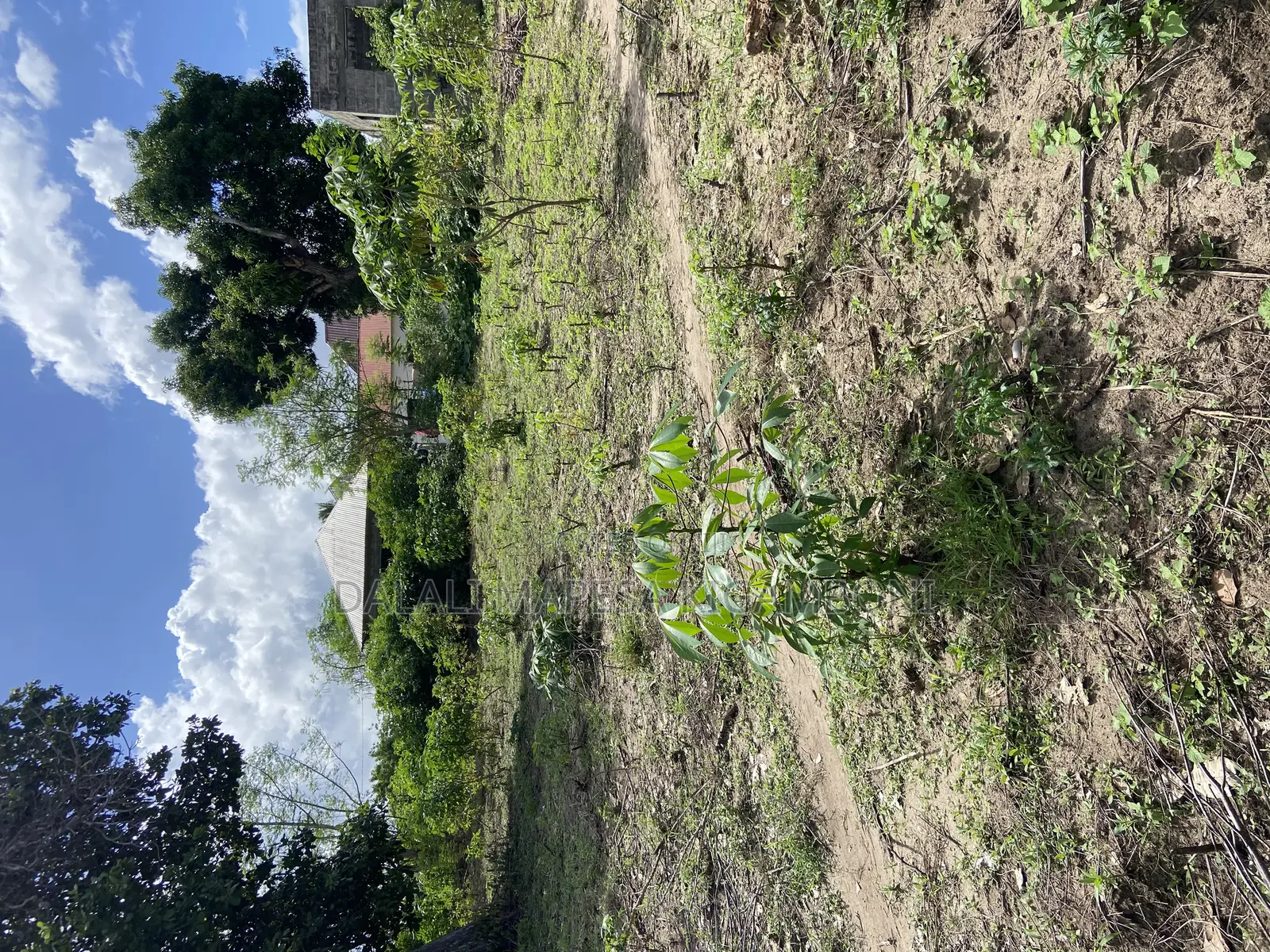Plot for Sale Malela Mikwambe Kigamboni