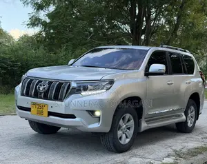 Toyota Land Cruiser Prado 2018 Gray