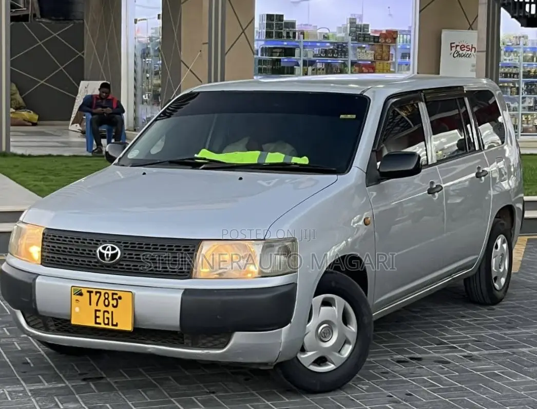 Toyota Probox 2004 Silver