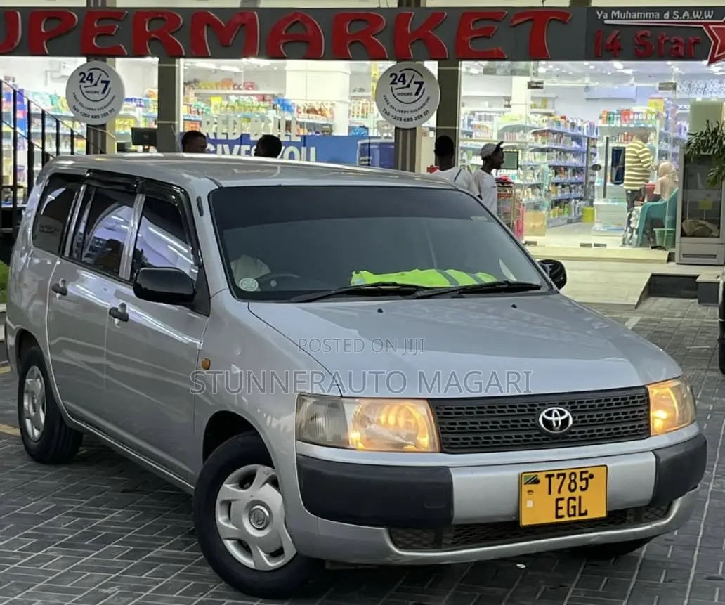 Toyota Probox 2004 Silver