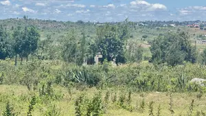 Kiwanja Kinauzwa Buswelu - Ilalila