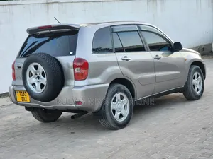 Toyota RAV4 2004 Silver