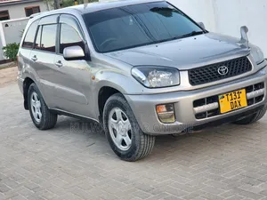 Toyota RAV4 2004 Silver