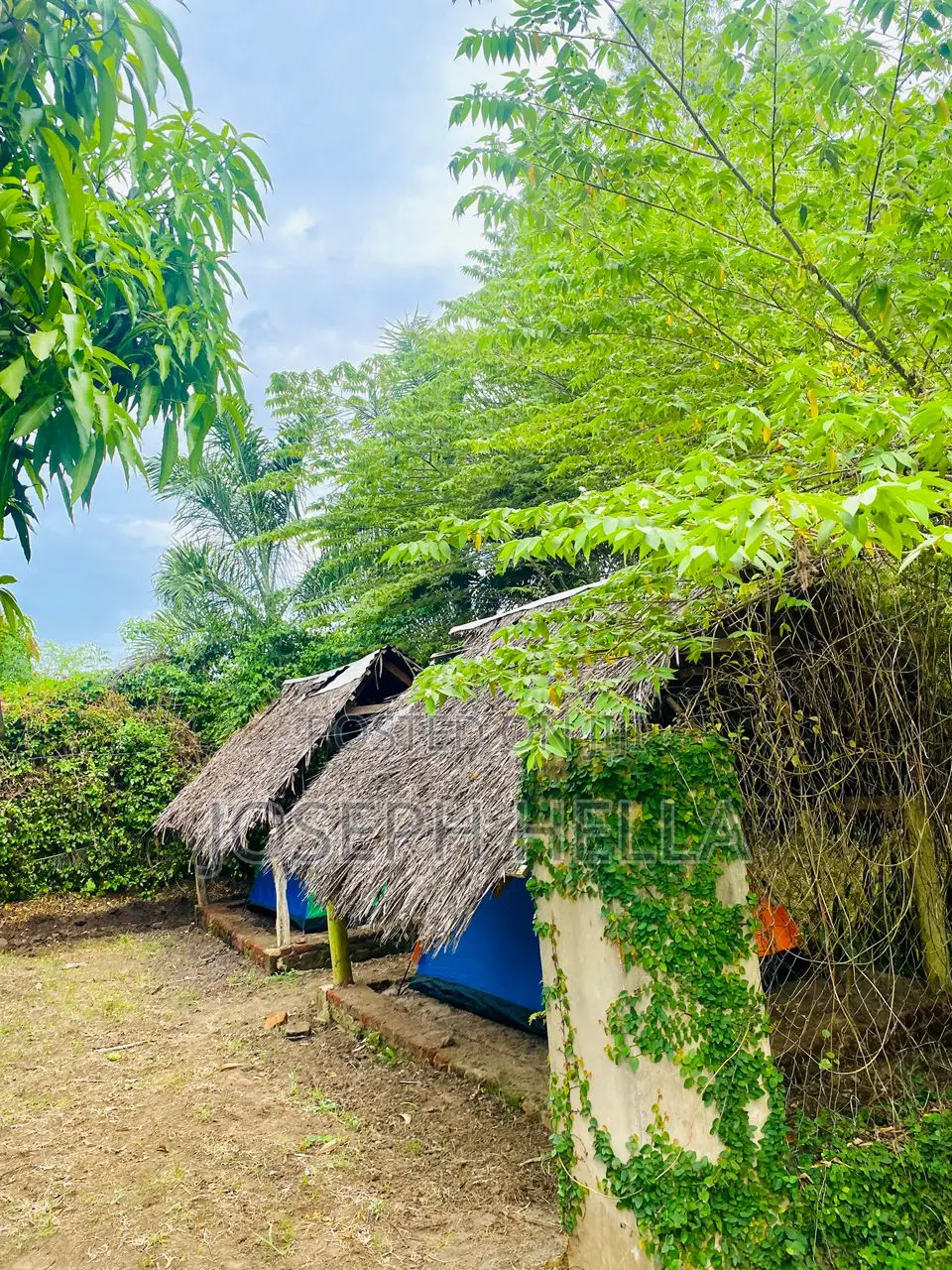 Verona Farm Lodge and Campsite