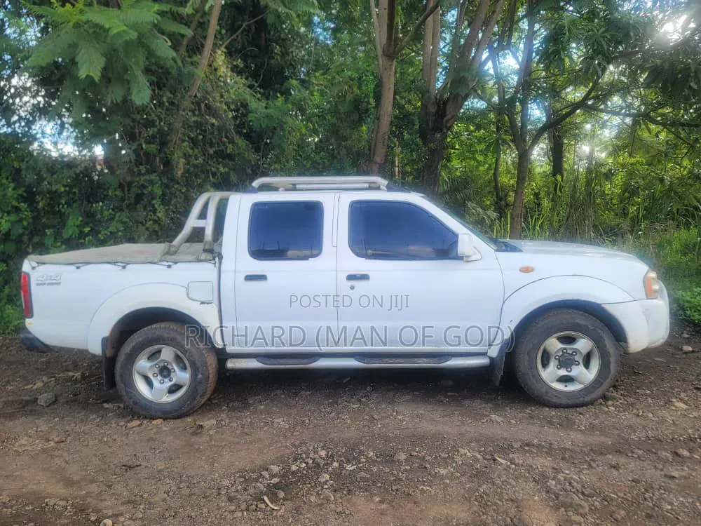 Nissan Hardbody 2004 White