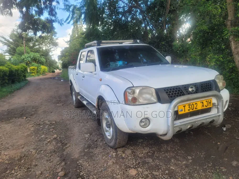 Nissan Hardbody 2004 White