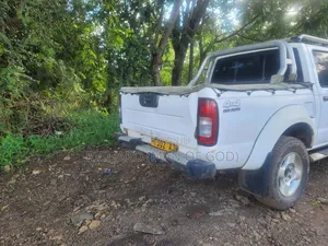 Nissan Hardbody 2004 White