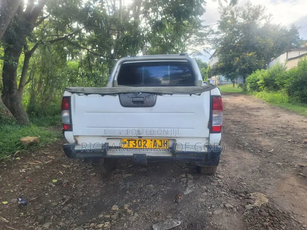 Nissan Hardbody 2004 White
