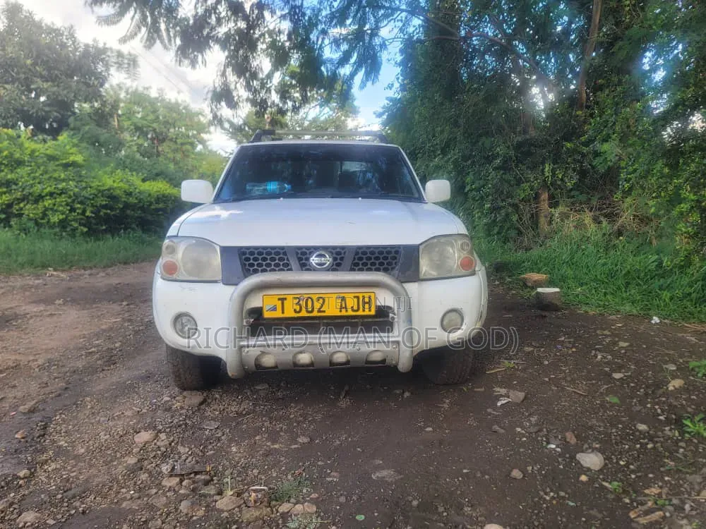 Nissan Hardbody 2004 White