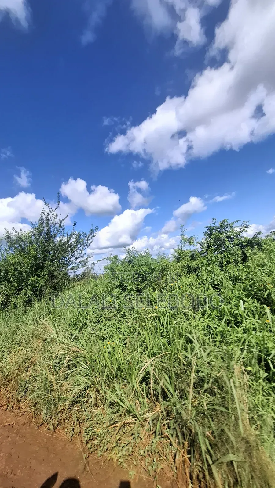 Hector 4 at Ubungo Maziwa