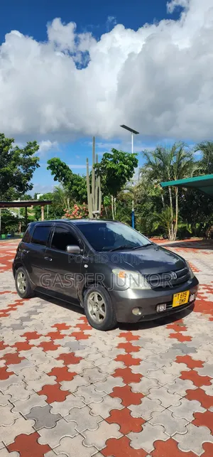 Toyota IST 2005 Gray