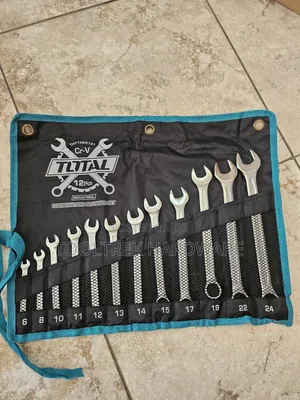 Total 12pcs Combination Spanner 6-24